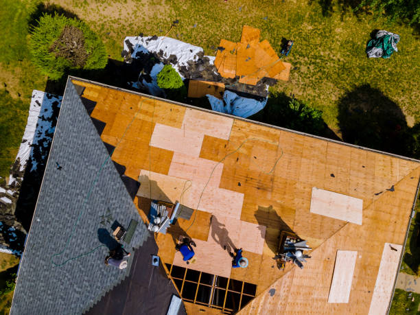 Best Gutter Installation and Roofing  in Belleville, WI