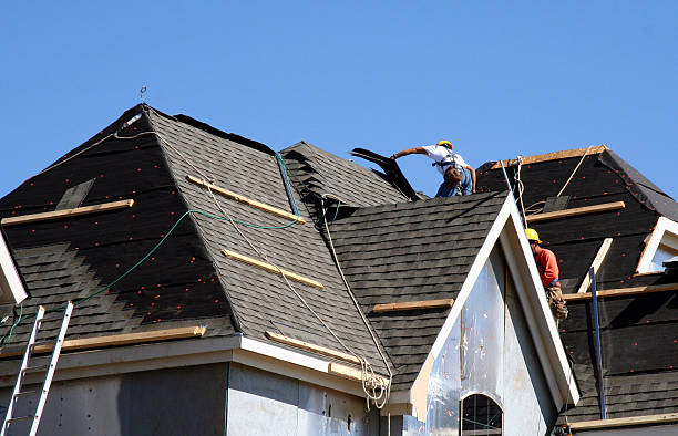 Best Metal Roofing Contractor  in Belleville, WI