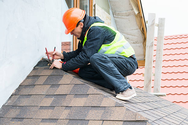 Best Roof Gutter Cleaning  in Belleville, WI