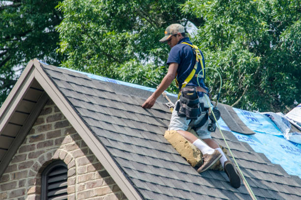 Best Residential Roofing Contractor  in Belleville, WI